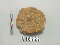 藏品(沈積小礫石塊)的圖片